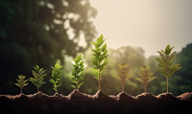 The new Green Claims Directive will oblige companies to justify any environmental claims